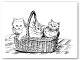 3 Cats in a Basket 1