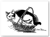 B&W Cat in Basket